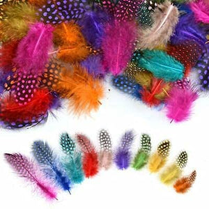 3Ace Crafts Assorted Colour Spotted Feathers 7g - Art & Craft Colourful Spotty Funky Feathers for DIY Art Collage Hats Costume Millinery Home Party Decor Wedding Decorations